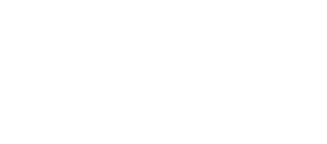 MINI_LOGO_WHITE300